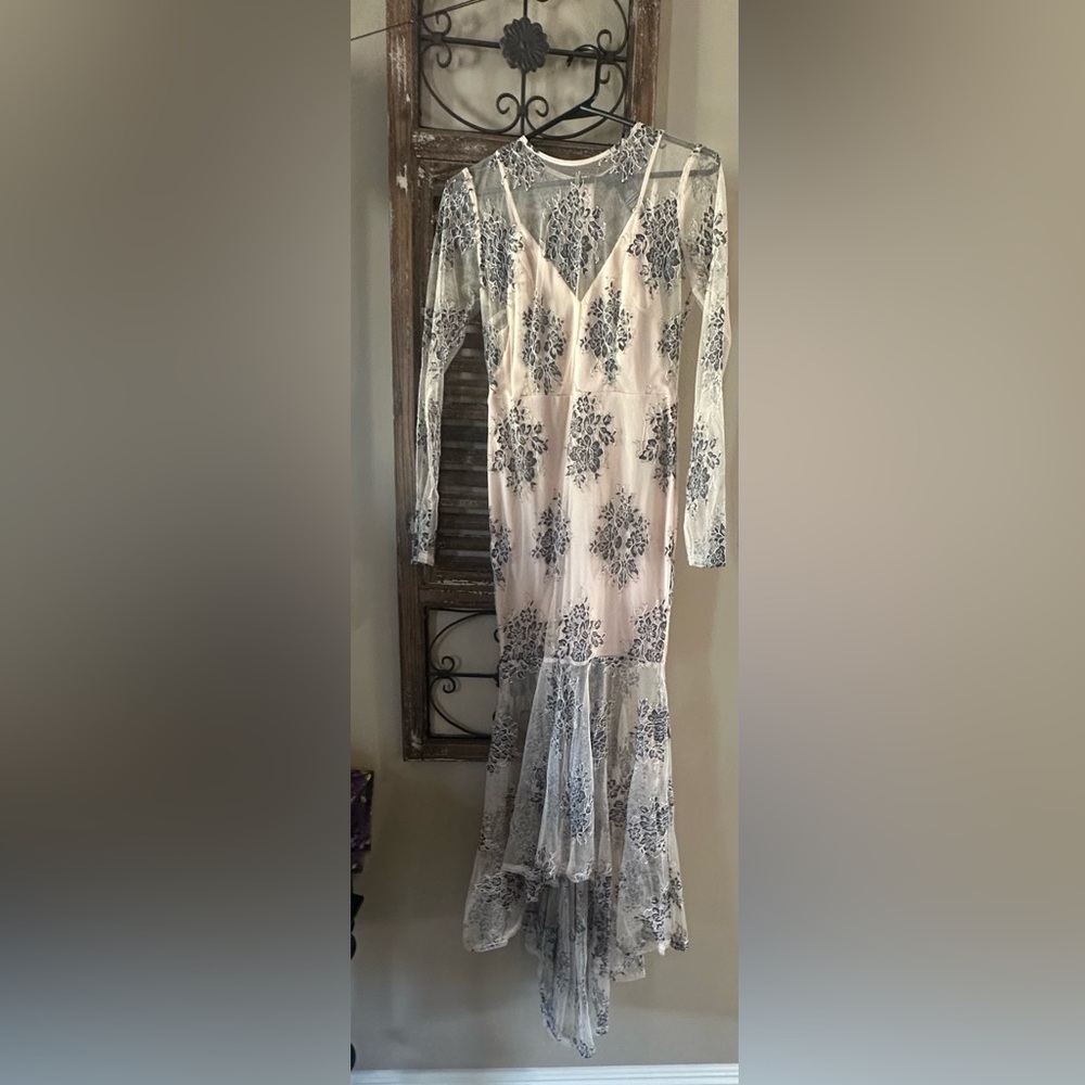 VICI Sheer Beige Floral Dress Size Small